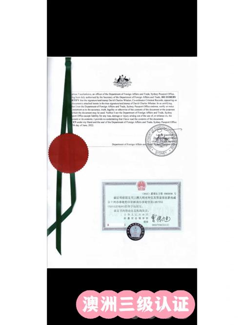 2025新澳门正版免费挂牌灯牌和强闯中国使馆被判刑与强闯中国使馆被判刑了吗