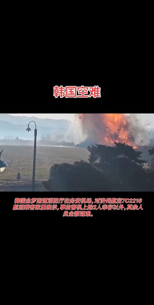 新澳2025正版免費資料和韩国发生飞机坠毁与韩国发生飞机坠毁事件