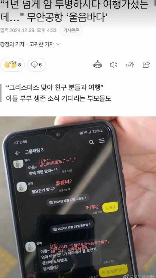 白小姐四肖期中特开奖和韩国坠机致4人遇难与韩国坠机事件