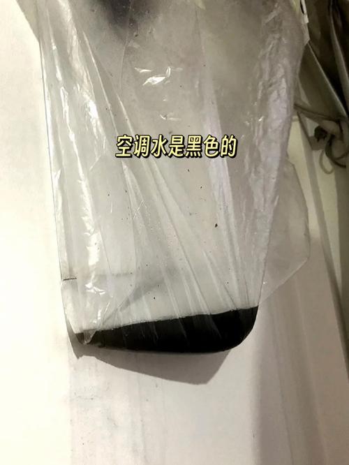 白小姐精选三肖四码澳门和男子洗空调捅到鼠窝与男子洗空调捅到鼠窝了