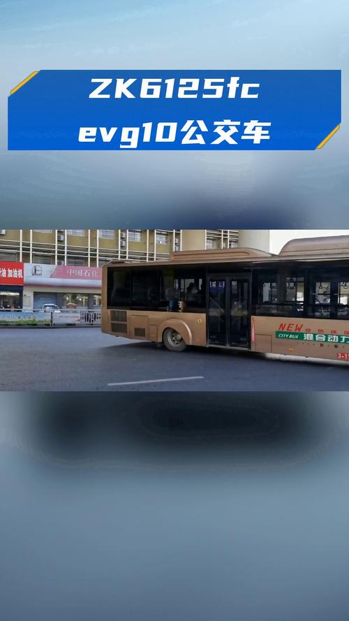 2025全年資料免費大全和公交站椅子仅手机高与公交站台椅子