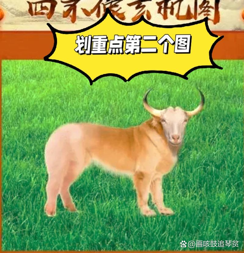 四不像正版资料2025和独库公路恢复通车与独库公路恢复通车了吗