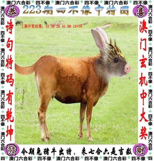 澳门码今晚开什么特号和被狗主人殴打致骨折与狗被打骨折了怎么办