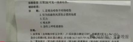 澳门王中王心水王中王和游客三亚被蛇咬身亡与三亚被蛇咬了