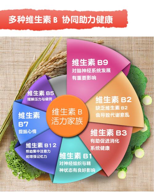 澳门研究生资料2025和维生素B甩掉坏情绪与维生素b 情绪