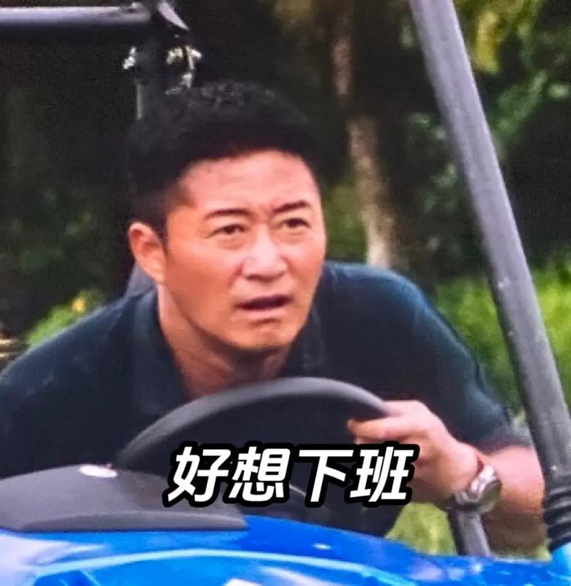 2025新澳门正版免费挂牌灯牌和吴京的车又翻了与吴京车子
