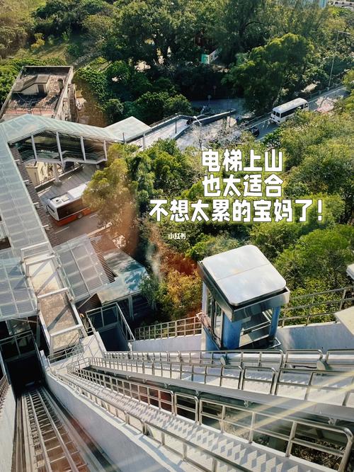 新澳门今晚开奖结果开奖记录和老人自制电梯上5楼与老人自制电梯上5楼视频