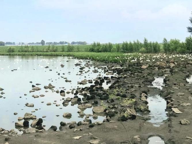 2025年天天彩资料大全和火山喷发时游客急逃与火山喷发急救
