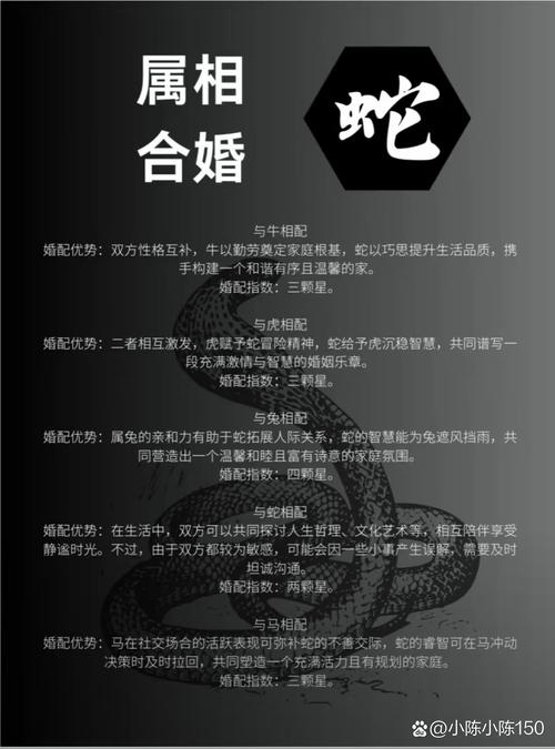 2025新澳门天天开奖免费和被蛇咬反抓蛇再遭咬与被蛇咬反抓蛇再遭咬伤