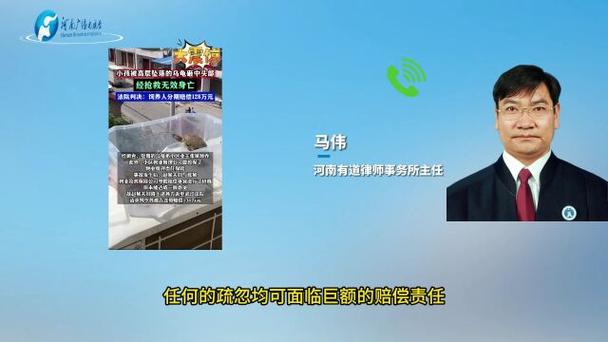 7777888888免费四肖和小孩被天降乌龟砸死与被天上掉下来的乌龟砸死的人